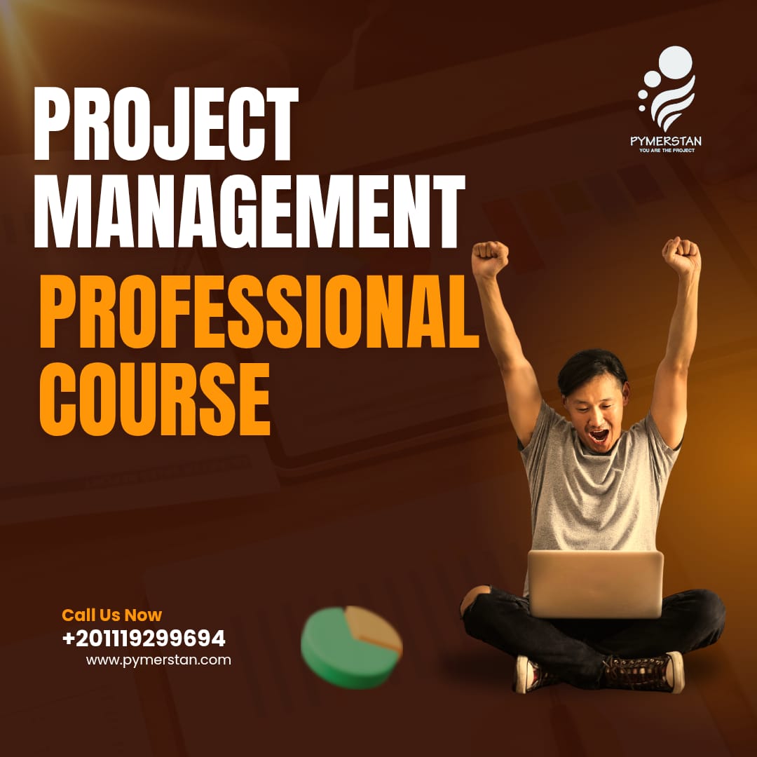 Project Management Professional Course 2025